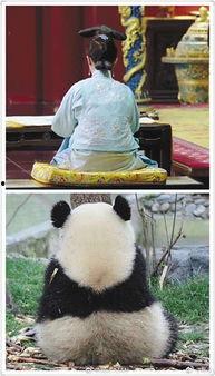 做一回娱乐圈吃瓜群众,揭秘明星幕后故事，做一回吃瓜群众！